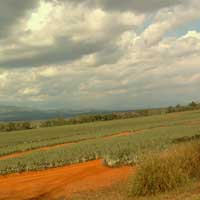 Valorema pode reciclar as suas placas eletr?nicas e componentes, para recuperar e valorizar estes metais preciosos (Ouro, prata, Pal&aacute;dio...): tratamento descarte eletr?nico, placas inform&aacute;ticas, placa de rede e telecomunica&ccedil;&atilde;o, circuito impresso, circuito integrado, Smart Card, placa celular, placa WiFi, microprocessador, semicondutor, radiografa anal&oacute;gica, placa militar, metais preciosos (Ouro, prata, Pal&aacute;dio, Platina, R&oacute;dio)