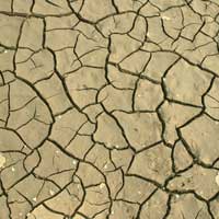 Carn&eacute; de identidad : Valorema es  el especialista  para reciclar y valorizar las tarjetas electr&oacute;nicas y sus componentes: tarjetas inform&aacute;ticas, placas madre, tarjetas wifi, tarjetas red, tarjetas con chips, tarjetas telef&oacute;nicas,tarjetas telecomunicaciones, tarjetas militares, radios m&eacute;dicas, catalizadores autom&oacute;viles, circuits integrados, circuitos impresos,IC, PCB,  componentes electr&oacute;nicos, microprocesadores, semiconductores, BGA, chipset, chips, memorias, SD RAM, llaves 3G, seguros electr&oacute;nicos, discos duros, port&aacute;tiles, oro, plata,paladio, platino, rodio, tantalio,silicio, metales preciosos. Valorema Electronics